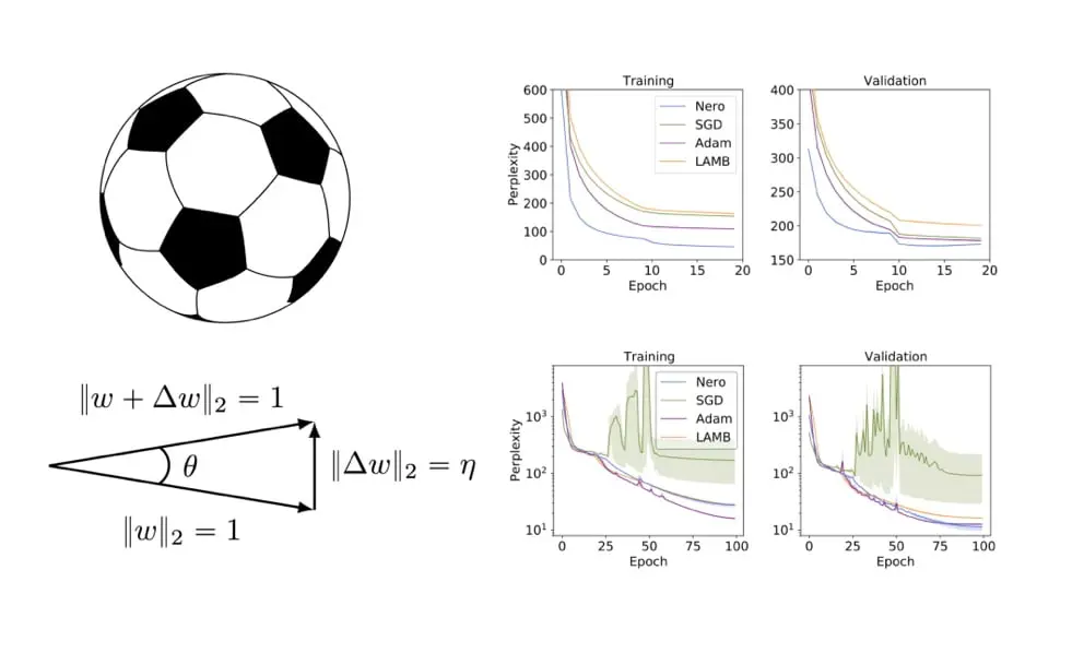 Learning by Turning: Neural Architecture Aware Optimisation